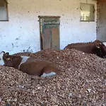 Vordergschwandtgut