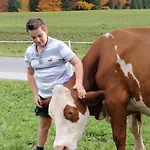 Vordergschwandtgut *