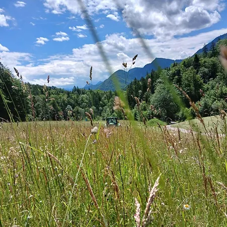 Vordergschwandtgut Faistenau