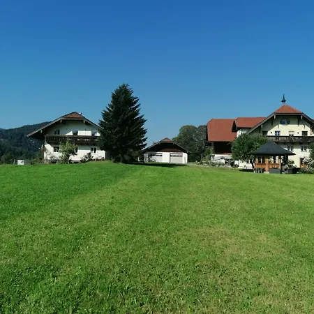 Bio Bauernhof Vordergschwandtgut * Faistenau