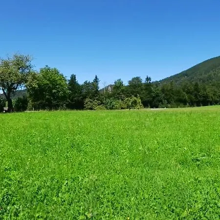 Apartment Vordergschwandtgut *