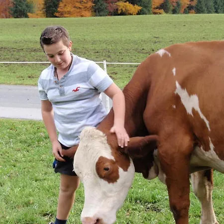 Vordergschwandtgut *