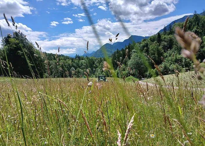 Vordergschwandtgut Faistenau