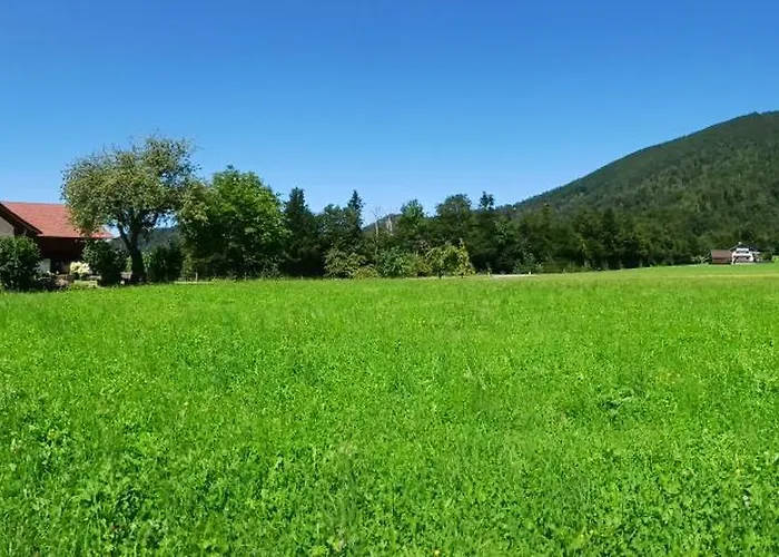 Appartement Vordergschwandtgut *